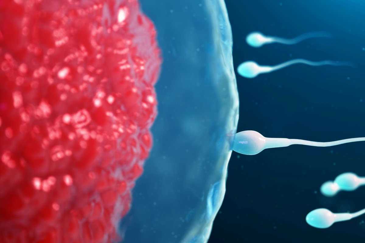 particularités chromosomiques